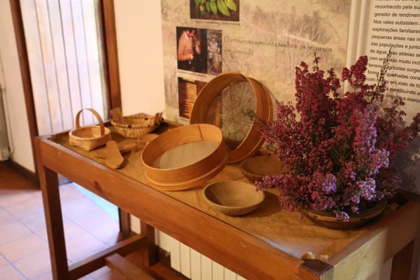 Foto 115 da atividade Galeria de Fotos