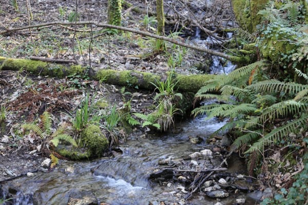 Foto 96 da atividade Galeria de Fotos