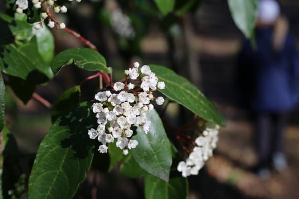 Foto 70 da atividade Galeria de Fotos