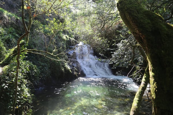 Foto 53 da atividade Galeria de Fotos