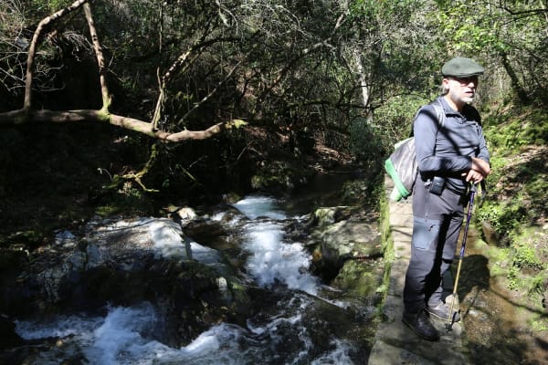 Foto 50 da atividade Galeria de Fotos