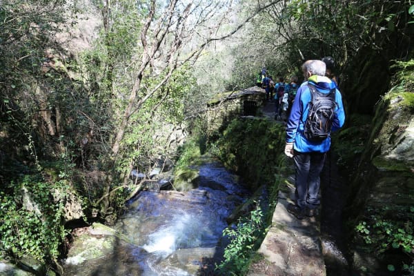 Foto 40 da atividade Galeria de Fotos