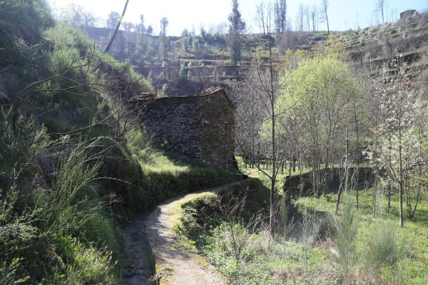 Foto 14 da atividade Galeria de Fotos