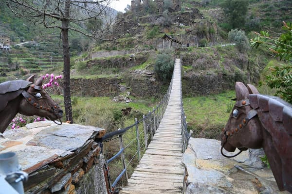 Foto 90 da atividade Galeria de Fotos