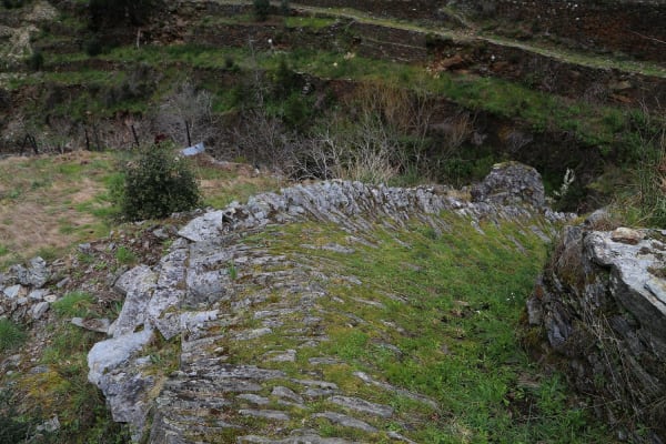 Foto 88 da atividade Galeria de Fotos