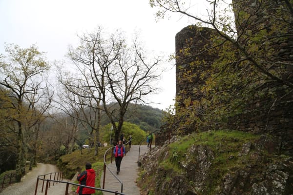 Foto 80 da atividade Galeria de Fotos