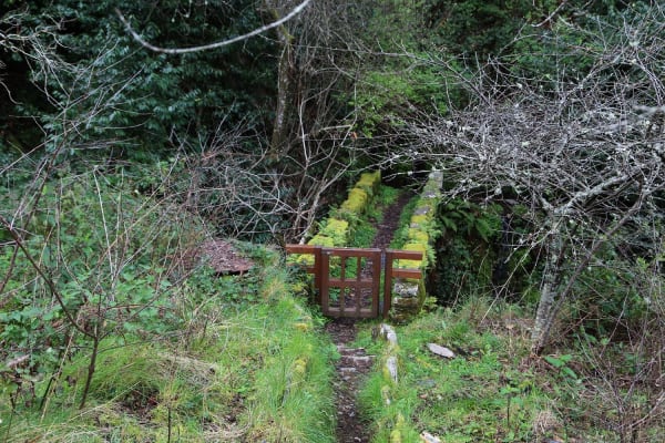 Foto 64 da atividade Galeria de Fotos