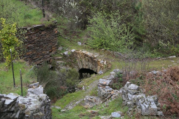 Foto 65 da atividade Galeria de Fotos