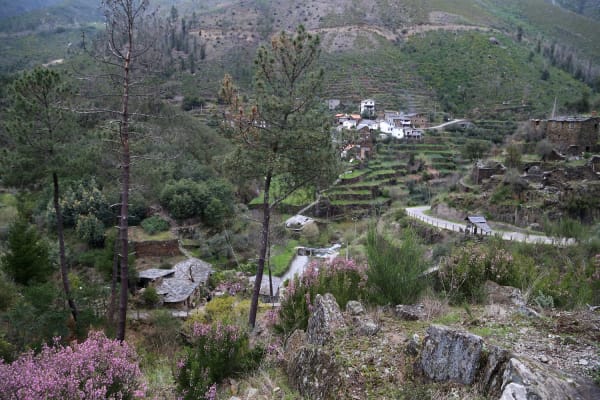 Foto 49 da atividade Galeria de Fotos