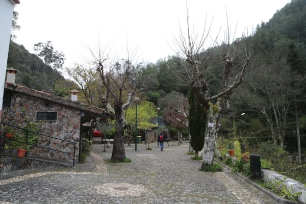 Foto 45 da atividade Galeria de Fotos