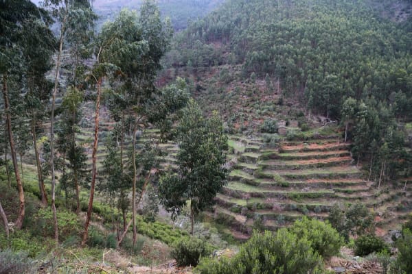 Foto 25 da atividade Galeria de Fotos