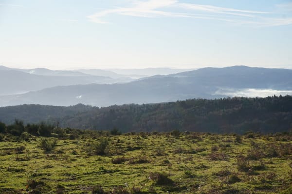 Foto 130 da atividade Galeria de Fotos