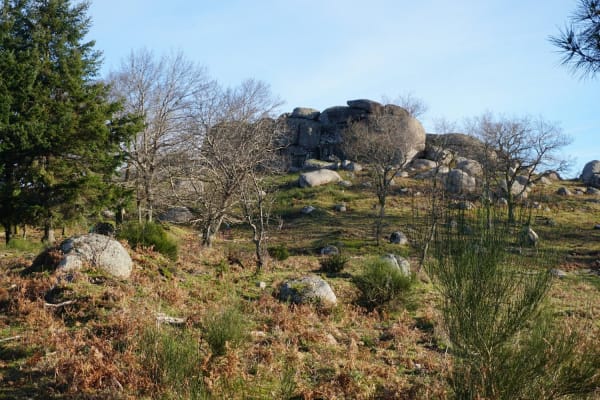 Foto 126 da atividade Galeria de Fotos