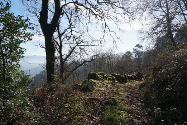 Foto 113 da atividade Galeria de Fotos