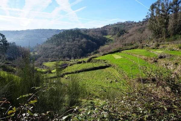 Foto 110 da atividade Galeria de Fotos