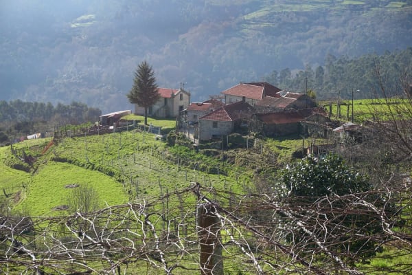 Foto 102 da atividade Galeria de Fotos