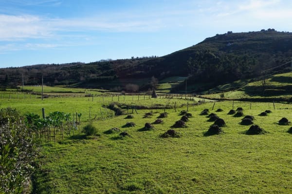 Foto 49 da atividade Galeria de Fotos