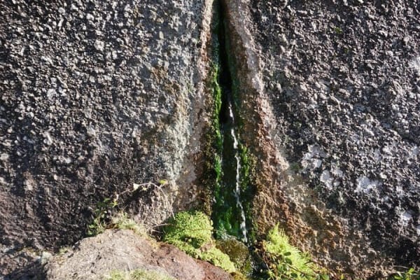 Foto 43 da atividade Galeria de Fotos