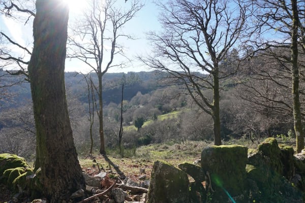 Foto 41 da atividade Galeria de Fotos