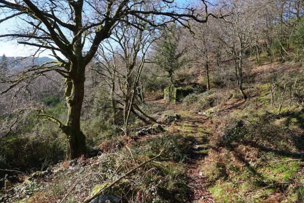 Foto 28 da atividade Galeria de Fotos