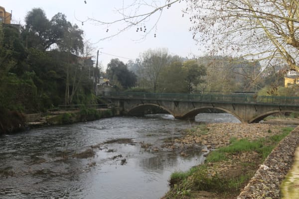 Foto 144 da atividade Galeria de Fotos