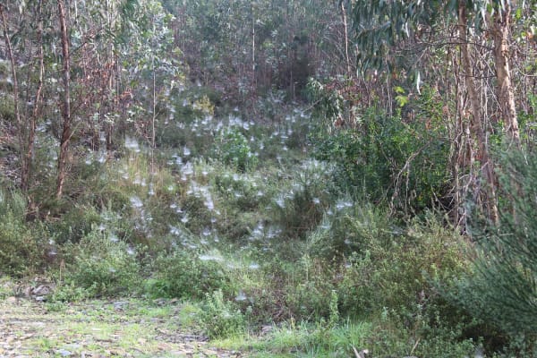 Foto 142 da atividade Galeria de Fotos