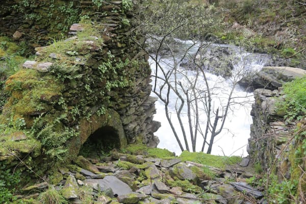 Foto 109 da atividade Galeria de Fotos