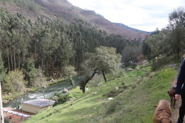 Foto 108 da atividade Galeria de Fotos