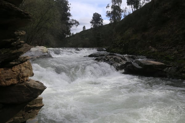 Foto 97 da atividade Galeria de Fotos