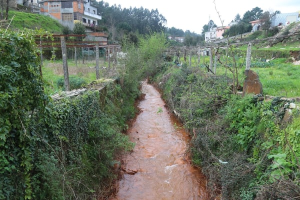 Foto 95 da atividade Galeria de Fotos