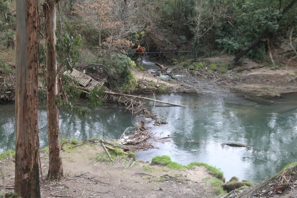 Foto 73 da atividade Galeria de Fotos