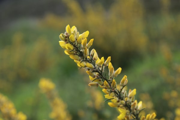 Foto 67 da atividade Galeria de Fotos