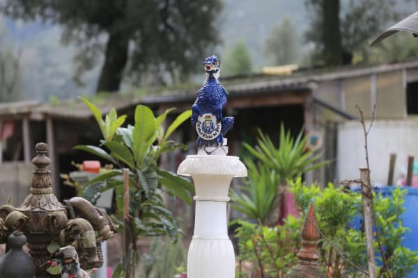 Foto 42 da atividade Galeria de Fotos