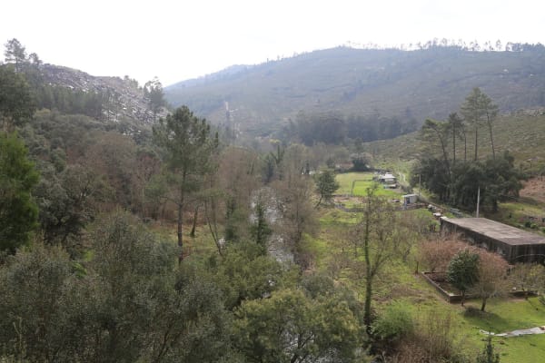 Foto 34 da atividade Galeria de Fotos