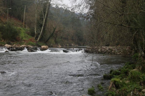 Foto 4 da atividade Galeria de Fotos