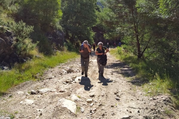 Foto 72 da atividade Galeria de Fotos