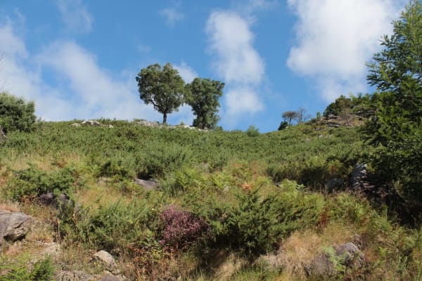 Foto 64 da atividade Galeria de Fotos