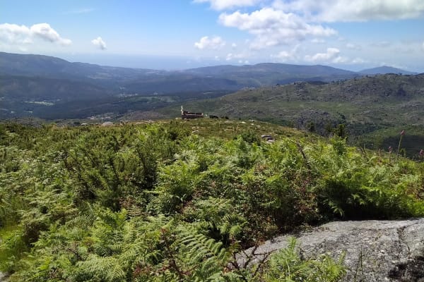 Foto 52 da atividade Galeria de Fotos