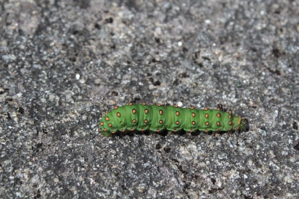 Foto 49 da atividade Galeria de Fotos