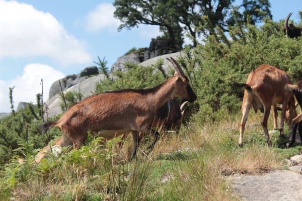 Foto 48 da atividade Galeria de Fotos