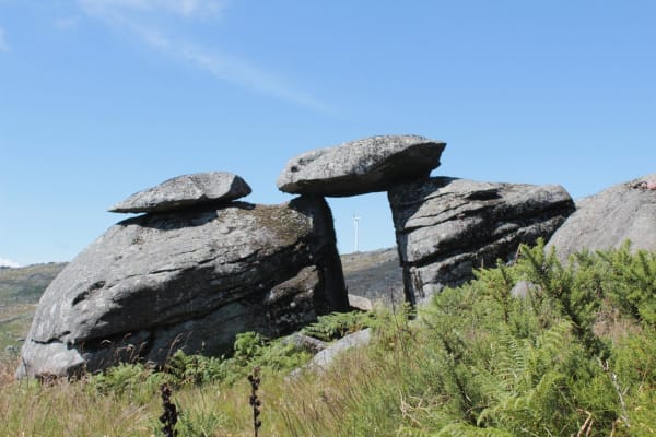 Foto 47 da atividade Galeria de Fotos