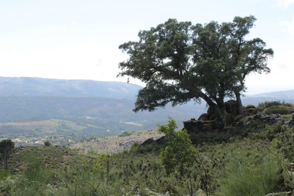 Foto 42 da atividade Galeria de Fotos