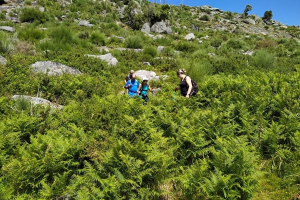 Foto 38 da atividade Galeria de Fotos