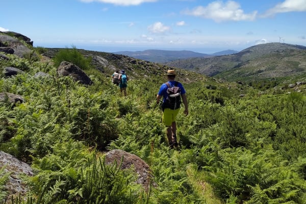 Foto 33 da atividade Galeria de Fotos