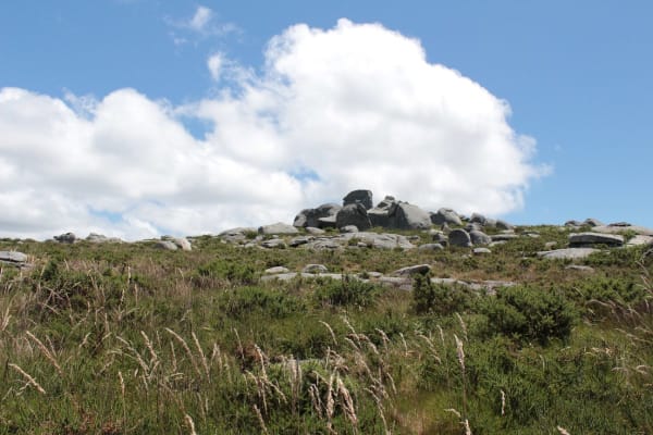 Foto 20 da atividade Galeria de Fotos