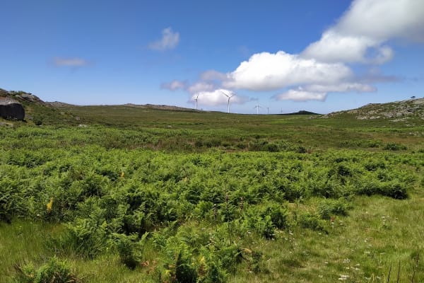 Foto 14 da atividade Galeria de Fotos