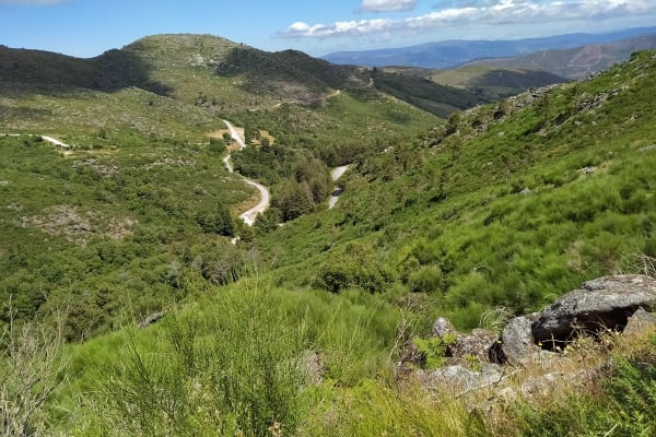 Foto 8 da atividade Galeria de Fotos