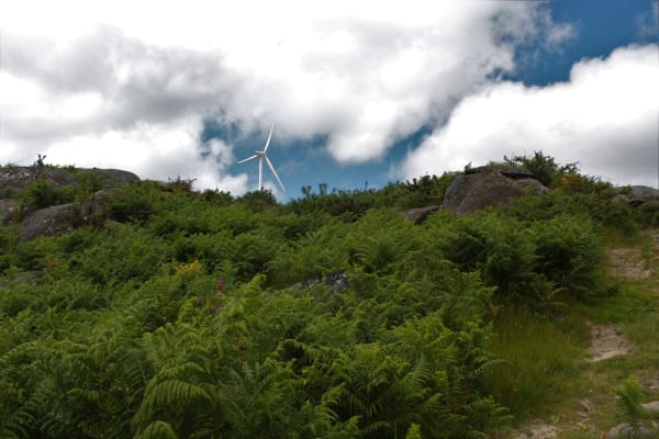 Foto 10 da atividade Galeria de Fotos