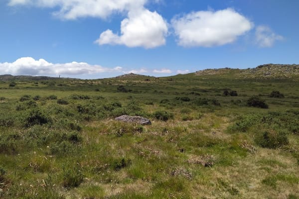 Foto 6 da atividade Galeria de Fotos