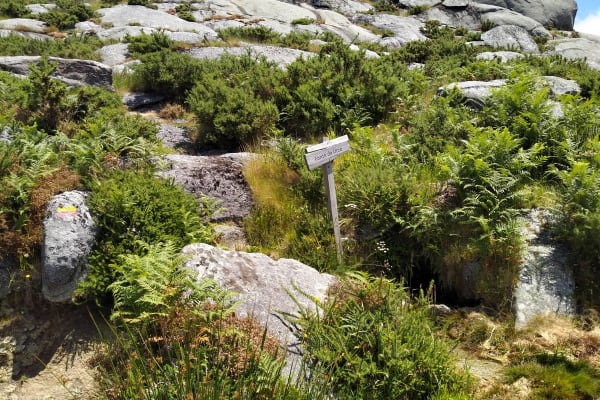 Foto 1 da atividade Galeria de Fotos